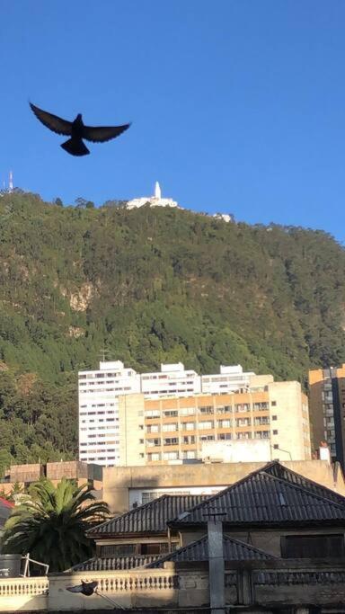 Apartamento Moderno En El Centro Bogotá